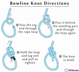 Best Knot For Dog Leash: A Quick Guide