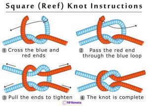 Best Knot For Dog Leash: A Quick Guide