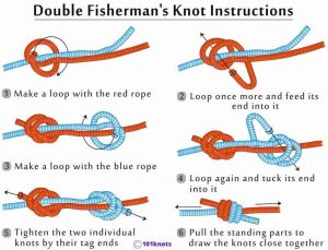 Best Knot For Dog Leash: A Quick Guide