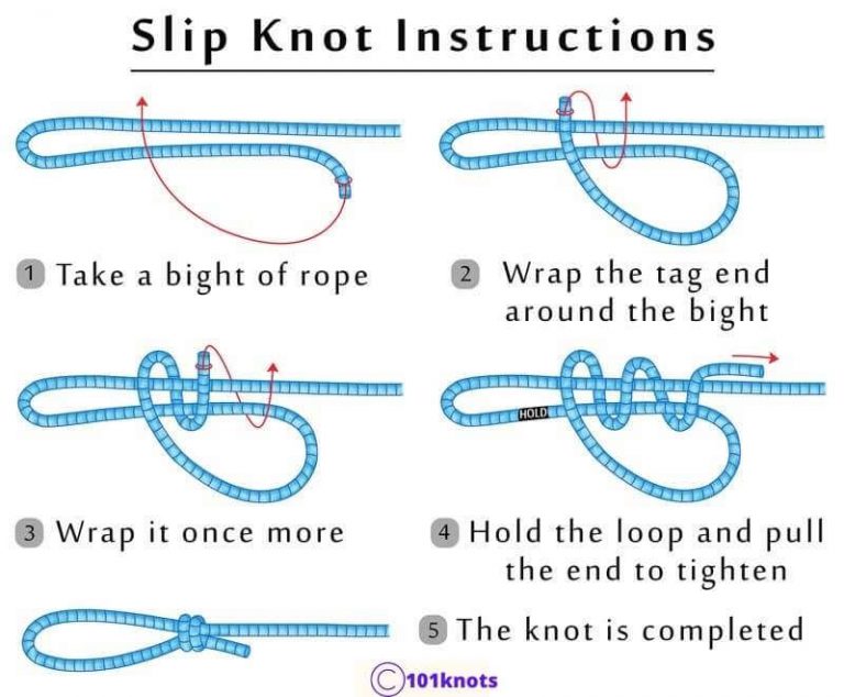 Best Knot For Dog Leash: A Quick Guide