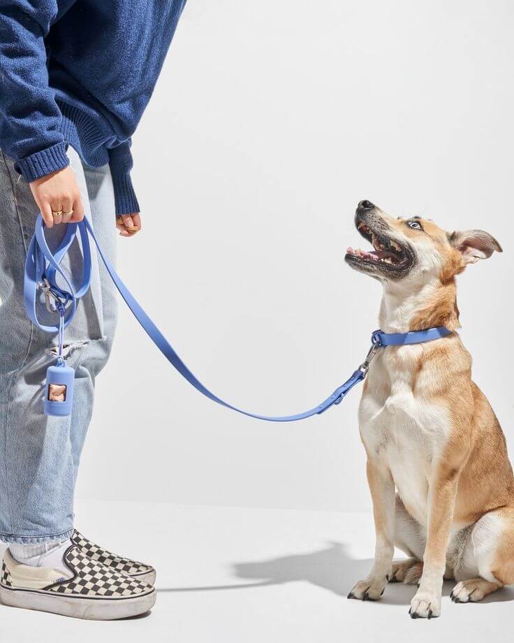 How To Put On A Dog Leash Step-by-step Guide [update 2023]