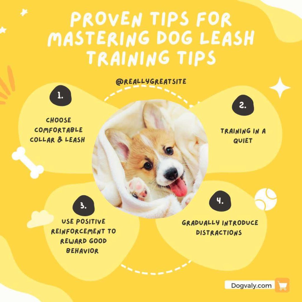 Dog Leash Training Tips! 7 Proven Tips To Mastering