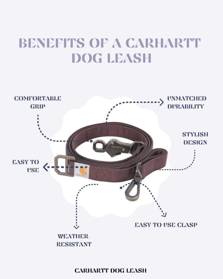 Carhartt Dog Leashes And How To Use Them For Optimal Control