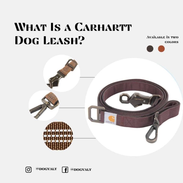 Carhartt Dog Leashes And How To Use Them For Optimal Control